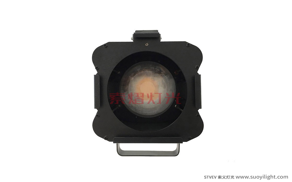 Toulouse200W LED Thread Image Light quotation