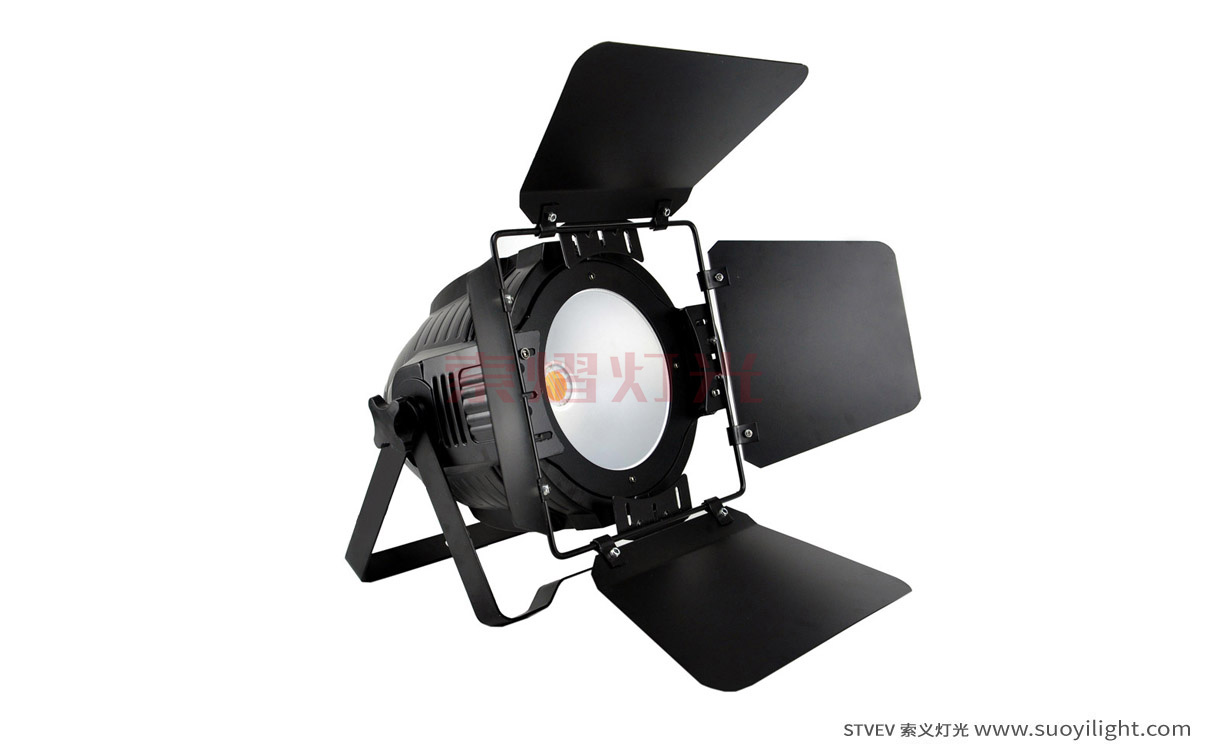 Toulouse200W COB LED Par Light