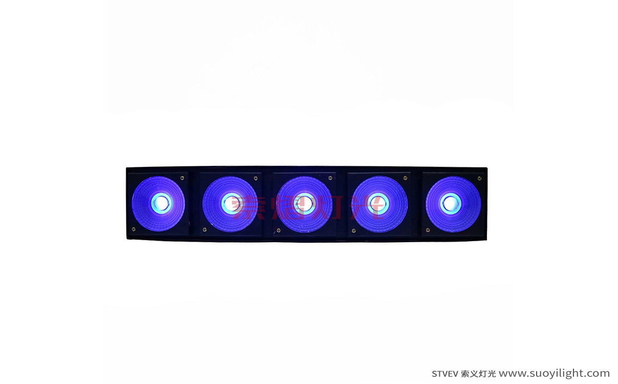Toulouse LED 5 Head Matrix Light