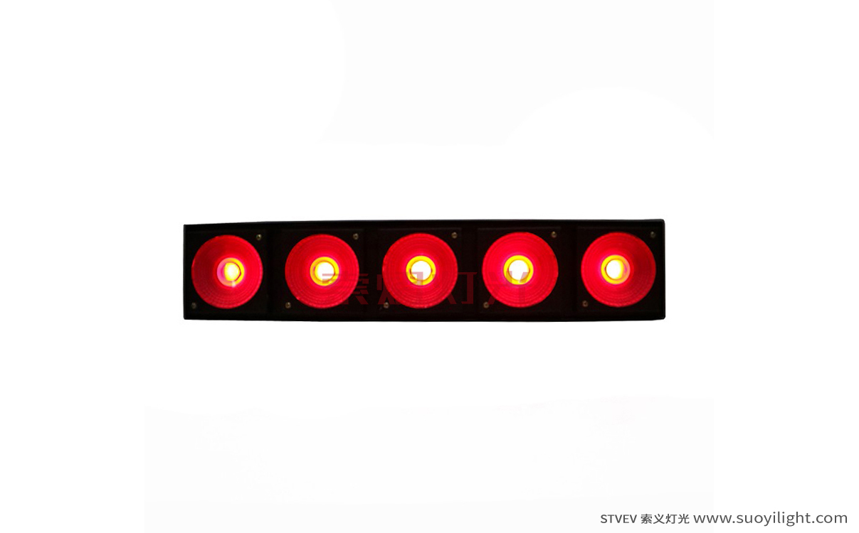 Toulouse LED 5 Head Matrix Light