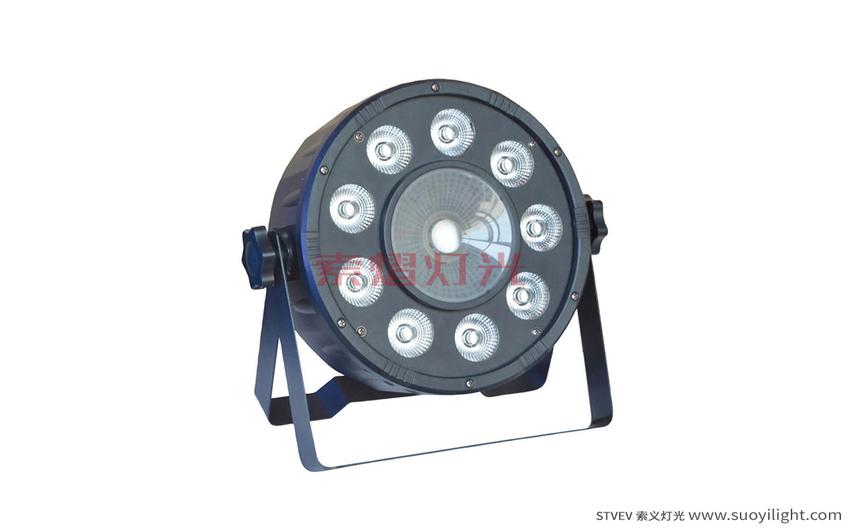 Toulouse9+1 LED Plastic Par Light