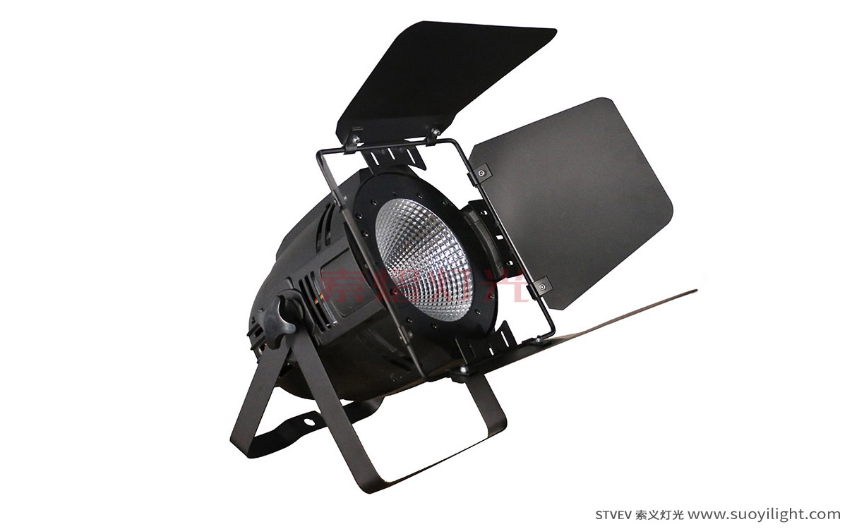 Toulouse100W LED COB Par Light