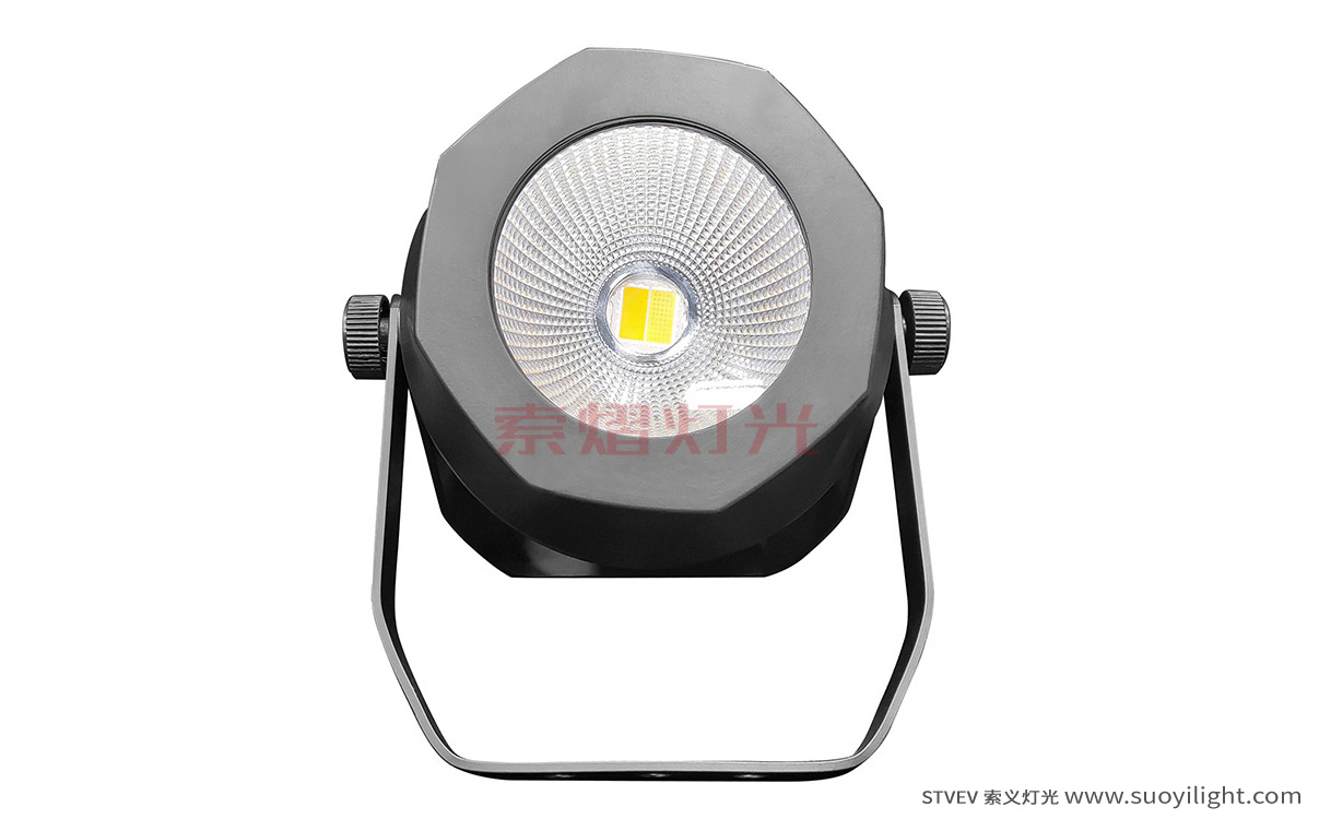 Toulouse200W Waterproof COB Par Light